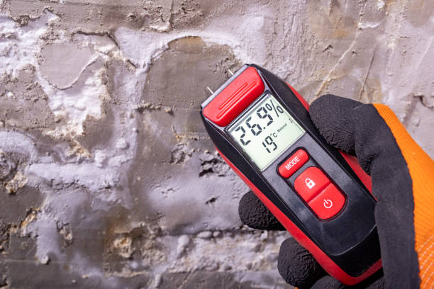 Sweet Springs, MO Mold Removal Company