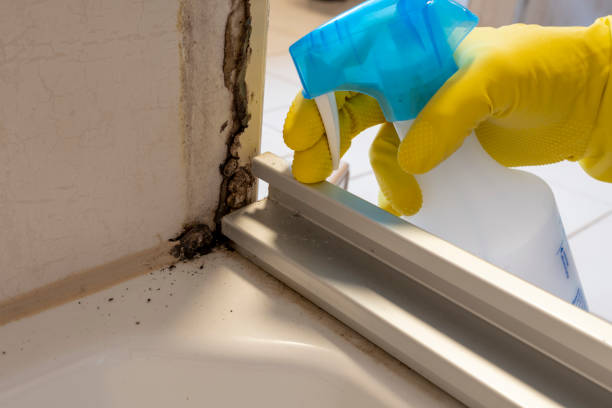 Crawl Space Mold Removal in Sweet Springs, MO